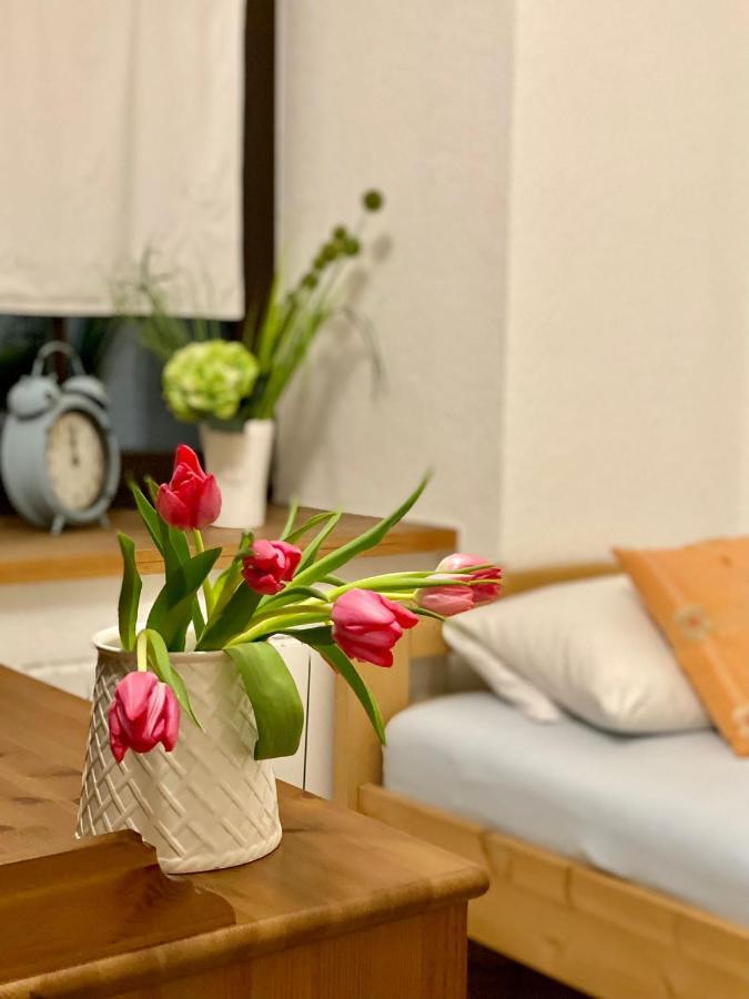 Ferienwohnung Am Weinberg Meißen Zewnętrze zdjęcie
