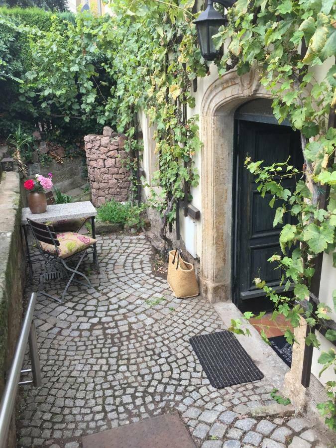 Ferienwohnung Am Weinberg Meißen Zewnętrze zdjęcie